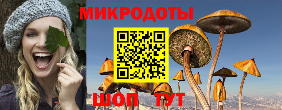 Галлюциногенные грибы мухоморы  Вход с VPN  Галлюциногенные грибы мицелий  Орск 